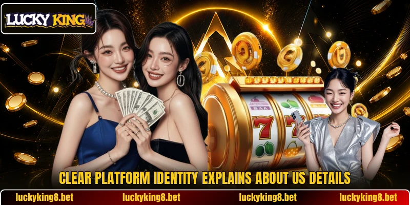 Clear platform identity explains about us details