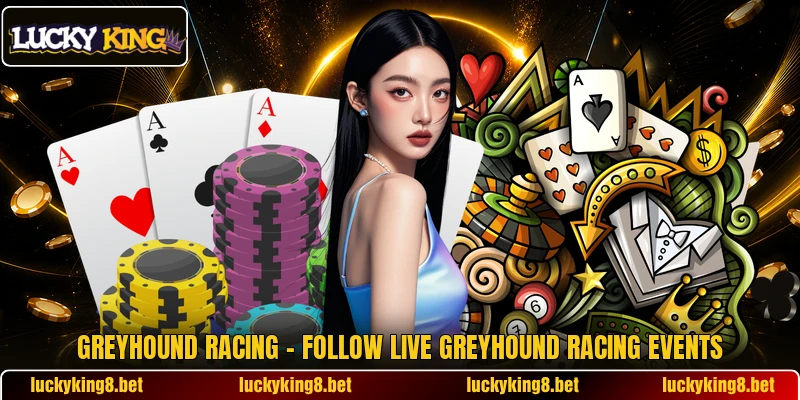 Greyhound Racing – Follow Live Greyhound Racing Events