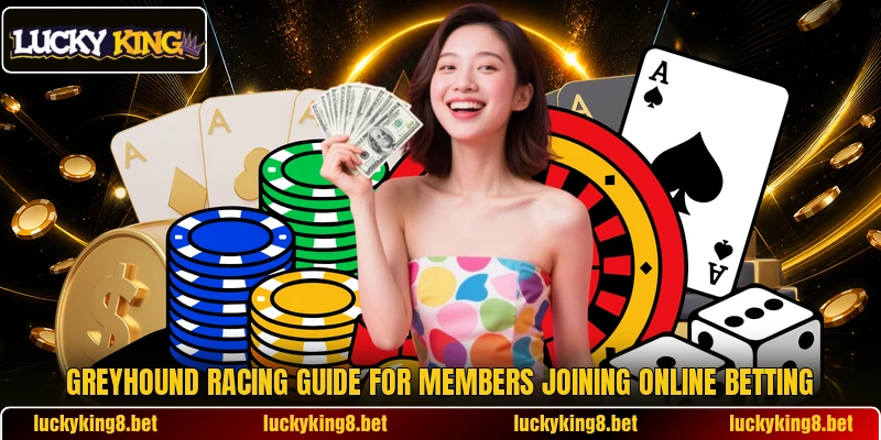 Greyhound racing guide for members joining online betting Greyhound racing guide for members joining online betting